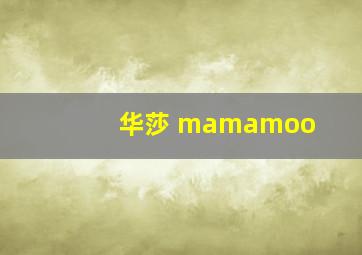 华莎 mamamoo